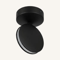 LED Plafondlamp Zwart - Roterend & Kantelbaar - Ronde Opbouwspot IP65