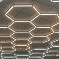 Hexagon LED Verlichting - Thor Performance 3 Lichtkleuren