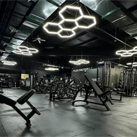 Hexagon garage verlichting
