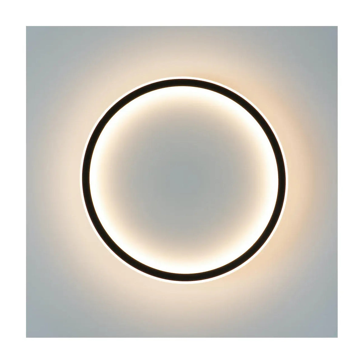 Moderne LED Plafondlamp Ring