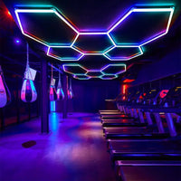 Hexagon garage verlichting